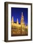 Vienna City Hall, Vienna, Austria-Neil Farrin-Framed Photographic Print