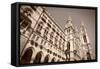 Vienna City Hall-Tupungato-Framed Stretched Canvas