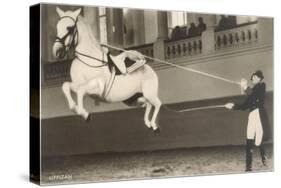 Vienna Lippizanner Jumping-null-Stretched Canvas