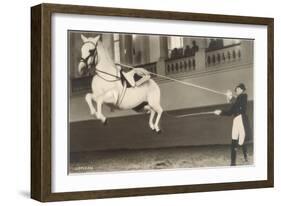 Vienna Lippizanner Jumping-null-Framed Art Print