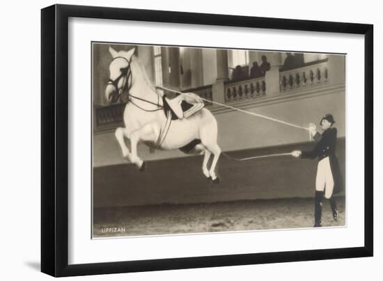 Vienna Lippizanner Jumping-null-Framed Art Print