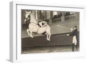 Vienna Lippizanner Jumping-null-Framed Art Print