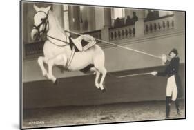 Vienna Lippizanner Jumping-null-Mounted Art Print