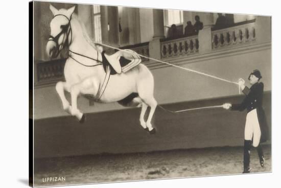 Vienna Lippizanner Jumping-null-Stretched Canvas