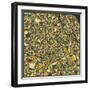 Vienna Map-Jazzberry Blue-Framed Art Print