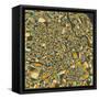 Vienna Map-Jazzberry Blue-Framed Stretched Canvas