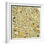 Vienna Map-Jazzberry Blue-Framed Art Print