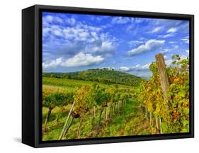 Vienna Vineyards, Austria-Richard Duval-Framed Stretched Canvas