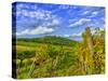 Vienna Vineyards, Austria-Richard Duval-Stretched Canvas