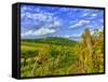 Vienna Vineyards, Austria-Richard Duval-Framed Stretched Canvas