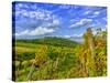 Vienna Vineyards, Austria-Richard Duval-Stretched Canvas