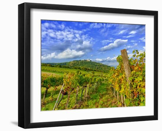 Vienna Vineyards, Austria-Richard Duval-Framed Photographic Print