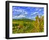 Vienna Vineyards, Austria-Richard Duval-Framed Photographic Print