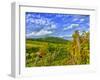 Vienna Vineyards, Austria-Richard Duval-Framed Photographic Print