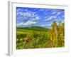 Vienna Vineyards, Austria-Richard Duval-Framed Photographic Print