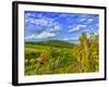 Vienna Vineyards, Austria-Richard Duval-Framed Photographic Print