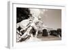 Vienna-Tupungato-Framed Photographic Print