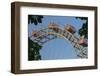 Viennese Big Dipper, Viennese Prater, 2nd District Leopoldstadt, Vienna, Austria-Rainer Mirau-Framed Photographic Print