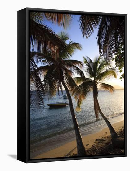 Vieques Island, Esperanza Bay, Puerto Rico-Michele Falzone-Framed Stretched Canvas