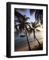 Vieques Island, Esperanza Bay, Puerto Rico-Michele Falzone-Framed Photographic Print