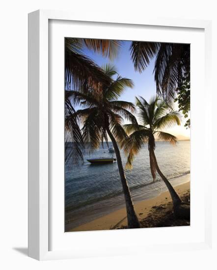 Vieques Island, Esperanza Bay, Puerto Rico-Michele Falzone-Framed Photographic Print