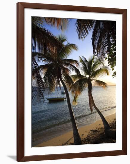 Vieques Island, Esperanza Bay, Puerto Rico-Michele Falzone-Framed Photographic Print