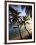 Vieques Island, Esperanza Bay, Puerto Rico-Michele Falzone-Framed Photographic Print