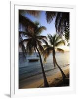 Vieques Island, Esperanza Bay, Puerto Rico-Michele Falzone-Framed Photographic Print