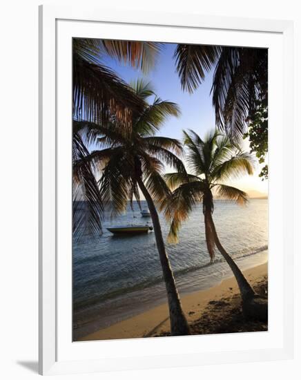 Vieques Island, Esperanza Bay, Puerto Rico-Michele Falzone-Framed Photographic Print