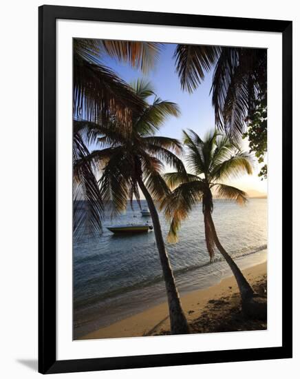 Vieques Island, Esperanza Bay, Puerto Rico-Michele Falzone-Framed Photographic Print