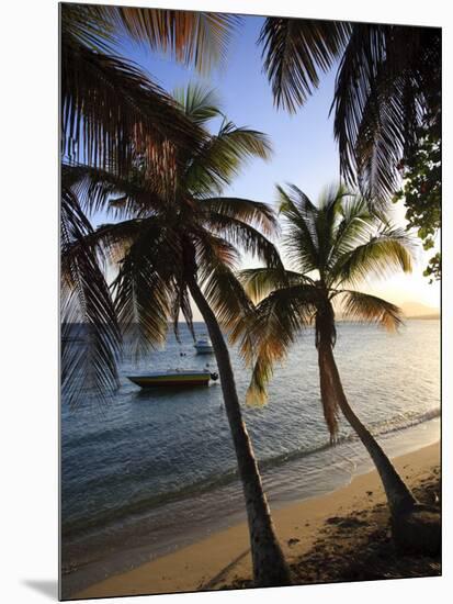 Vieques Island, Esperanza Bay, Puerto Rico-Michele Falzone-Mounted Photographic Print