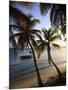 Vieques Island, Esperanza Bay, Puerto Rico-Michele Falzone-Mounted Photographic Print