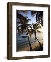 Vieques Island, Esperanza Bay, Puerto Rico-Michele Falzone-Framed Photographic Print