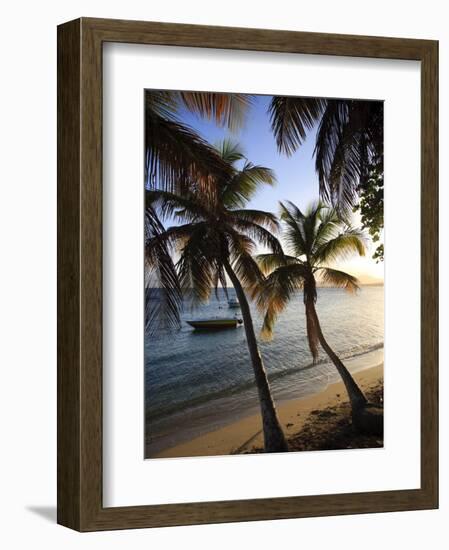 Vieques Island, Esperanza Bay, Puerto Rico-Michele Falzone-Framed Photographic Print