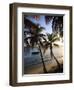 Vieques Island, Esperanza Bay, Puerto Rico-Michele Falzone-Framed Photographic Print