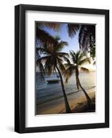 Vieques Island, Esperanza Bay, Puerto Rico-Michele Falzone-Framed Photographic Print