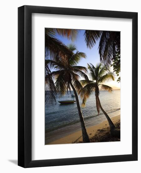 Vieques Island, Esperanza Bay, Puerto Rico-Michele Falzone-Framed Photographic Print