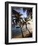 Vieques Island, Esperanza Bay, Puerto Rico-Michele Falzone-Framed Photographic Print