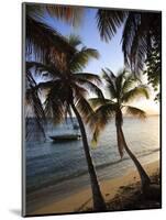 Vieques Island, Esperanza Bay, Puerto Rico-Michele Falzone-Mounted Photographic Print