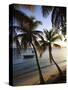 Vieques Island, Esperanza Bay, Puerto Rico-Michele Falzone-Stretched Canvas
