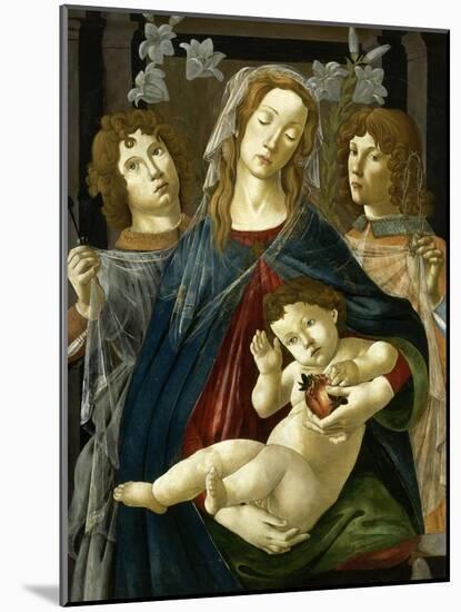 Vierge à l'Enfant à la grenade-Sandro Botticelli-Mounted Giclee Print