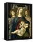 Vierge à l'Enfant à la grenade-Sandro Botticelli-Framed Stretched Canvas