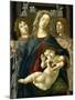 Vierge à l'Enfant à la grenade-Sandro Botticelli-Mounted Giclee Print