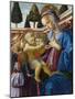 Vierge a L'enfant Avec Deux Anges  Peinture D'andrea Del Verrocchio (1437-1488) 1467-1469 Londres-Andrea del Verrocchio-Mounted Giclee Print