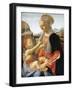 Vierge a L'enfant  Peinture Sur Bois D'andrea Del Verrocchio (1437-1488) 1466-1470 Dim 67.3 X 49.4-Andrea del Verrocchio-Framed Giclee Print