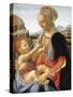 Vierge a L'enfant  Peinture Sur Bois D'andrea Del Verrocchio (1437-1488) 1466-1470 Dim 67.3 X 49.4-Andrea del Verrocchio-Stretched Canvas