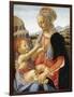 Vierge a L'enfant  Peinture Sur Bois D'andrea Del Verrocchio (1437-1488) 1466-1470 Dim 67.3 X 49.4-Andrea del Verrocchio-Framed Giclee Print