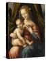 Vierge à l'Enfant-Raffaello Sanzio-Stretched Canvas