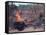 Viet Cong Burning-Horst Faas-Framed Stretched Canvas