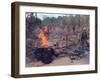 Viet Cong Burning-Horst Faas-Framed Premium Photographic Print